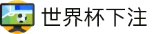 世界杯下注 - 世界杯足球赛前情报与赛况更新中心